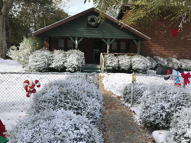 snow decor  snow on the ground and flocking services
